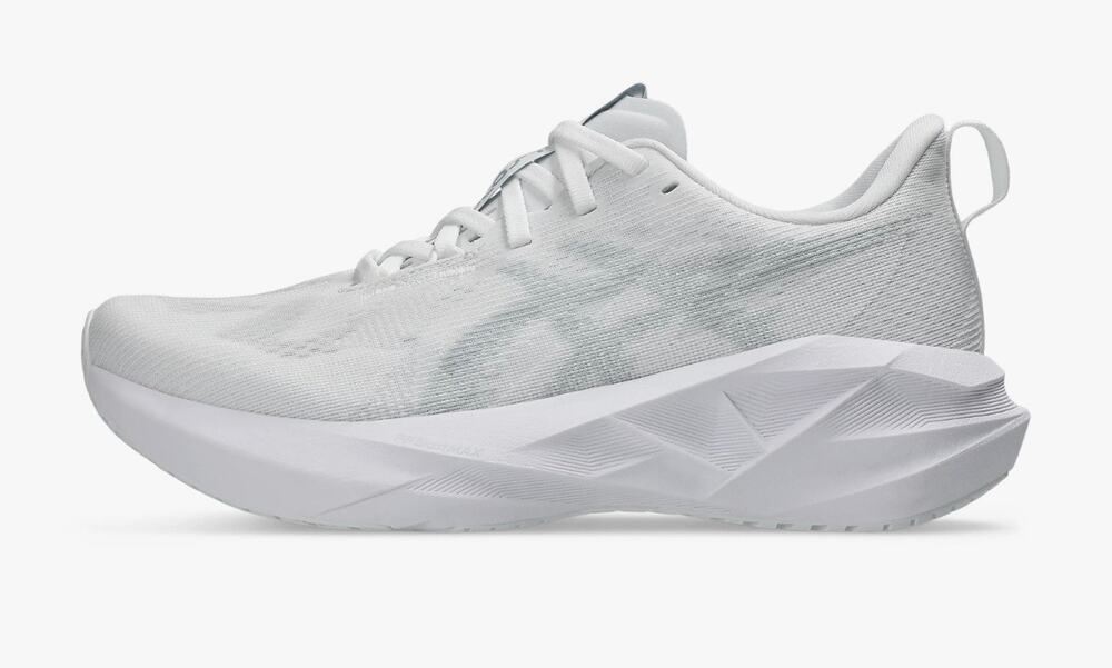 ASICS NOVABLAST 5 white/piedmont grey
